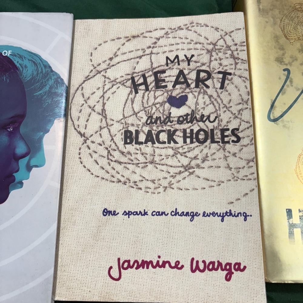My Heart and Other Black Holes Book